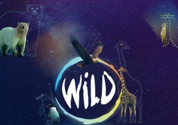 WILD: The Drone Light Show - Ipswich