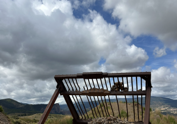 En el aire - Martín Flores Cárdenas Rioja, La