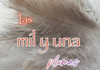 Las Mil y Una Plumas: Conociendo a las Aves Alicante/Alacant