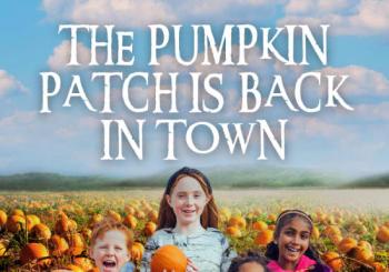 Pumpkin Patch At Hobbledown West London