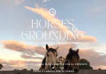 HORSES & GROUNDING Madrid