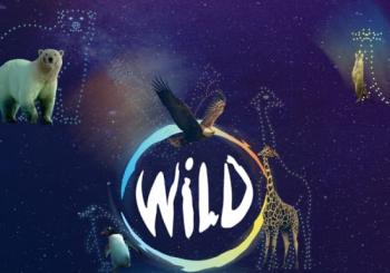 WILD: The Drone Light Show - Southampton