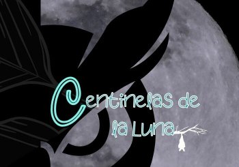 Centinelas de la Luna Alicante/Alacant