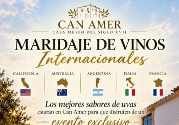 DEGUSTACIÓN DE LOS MEJORES VINOS INTERNACIONALES Balears, Illes