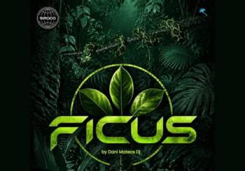 Ficus by Dani Mateos dj Madrid
