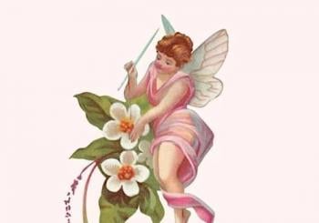The Hidden World of Fairies & Women Brighton