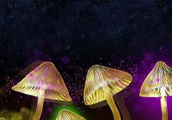The Science of Psychedelics with Dr David Luke Nottingham
