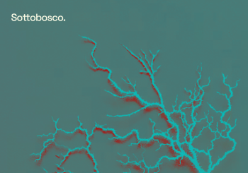 Sottobosco - Presentació Narratives Volàtils en Barcelona