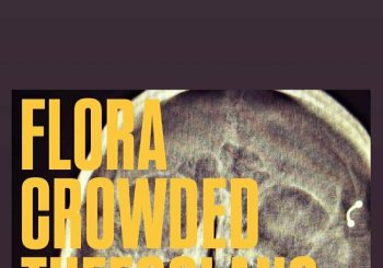 Concierto: Flora + Crowded + Los ( de ) The Foolans Lugo
