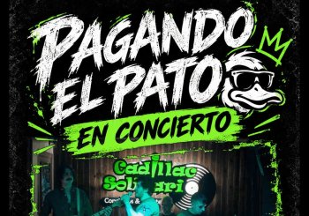 Pagando el pato - Tributo Pop-Rock Internacional Madrid