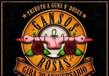 GANSOS ROSAS EN VIGO 2026 Pontevedra