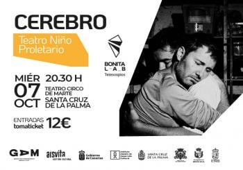 Cerebro en La Palma