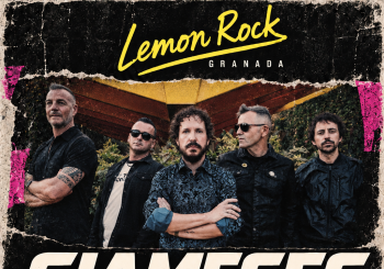 Siameses y Lavanda en Lemon Rock en Granada