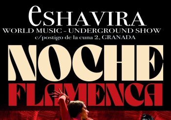 NOCHE FLAMENCA en Granada