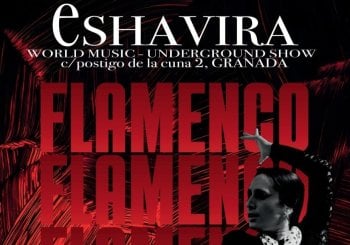 Espectáculo Flamenco en Granada