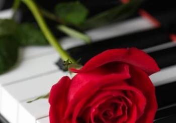 Valentine's Moonlight Sonata by Candlelight at St Mary's Cathedral, Palmerston Place Edinburgh