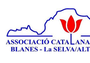 CONCERT SOLIDARI FILDEGOSPEL Girona