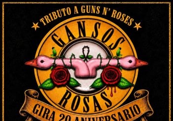 GANSOS ROSAS EN ORENSE 2026 Ourense