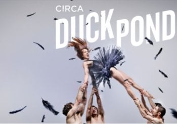 Duck Pond- Circa Málaga