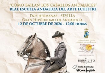 Cómo Bailan los Caballos Andaluces Sevilla