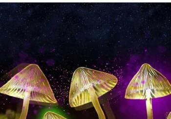 The Science of Psychedelics with Dr David Luke Canterbury