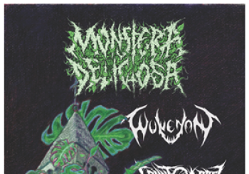 Counteractt + Monstera Deliciosa + Wolvenant Valladolid