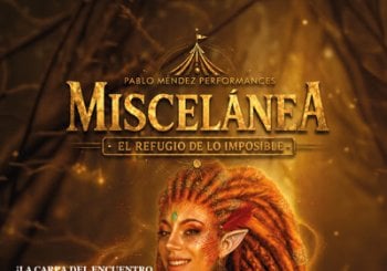 Miscelánea en Madrid