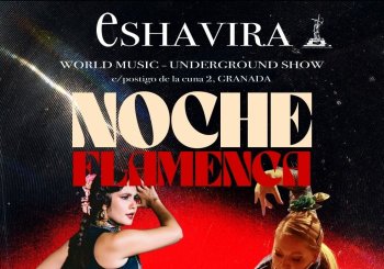 NOCHE FLAMENCA en Granada