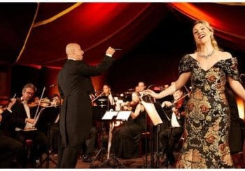 Cena con espectáculo Strauss Viena