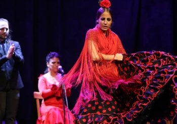 Espectáculo de flamenco en el Theater City Hall Barcelona