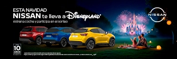 Grupo ari